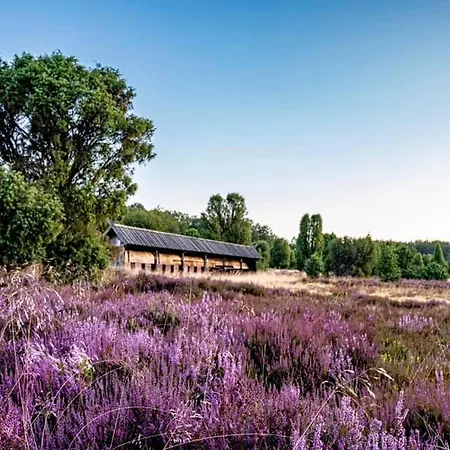 Campeggio Sonnenberg Faßberg