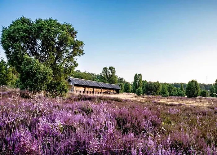 캠프장 Sonnenberg Faßberg