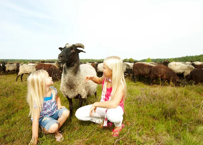 캠프장 Sonnenberg *